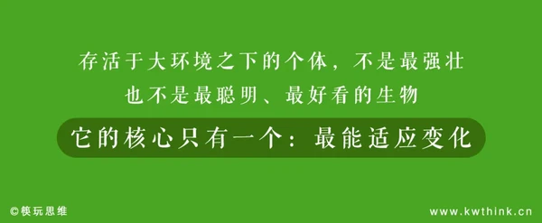 等不来报复性消费，除了放弃幻想，餐饮老板还能思考些什么？