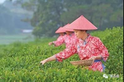 茶饮版图下的咖啡，“利基市场”在哪里？| 英吉岛