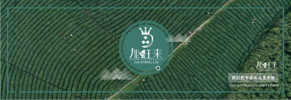 加旺来国际品牌管理（广州）有限公司