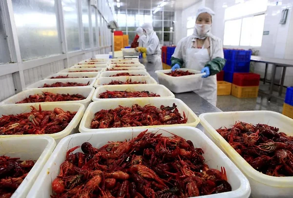 疫情前后,我们探究整个小龙虾产业链,问了头部品牌们18个大问题
