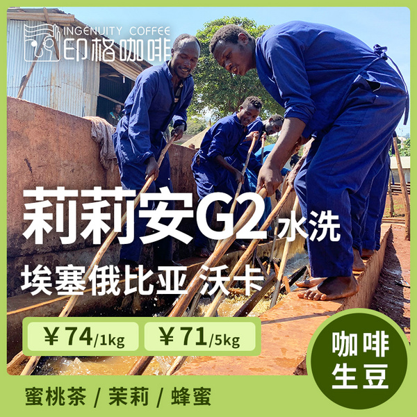 水洗沃卡莉莉安G2