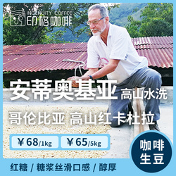 安蒂奧基亞高山水洗