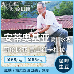 安蒂奥基亚高山水洗