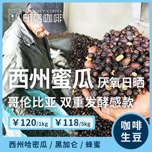 西州蜜瓜 双重发酵