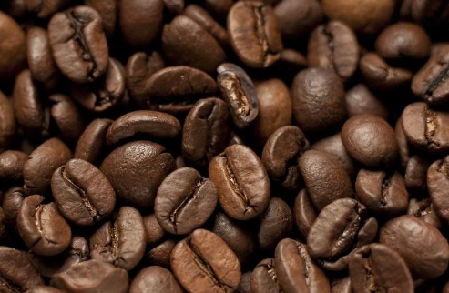 金钻咖啡豆的挑选需要考虑哪几点