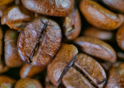 蓝山风味咖啡豆为什么被很多人选择