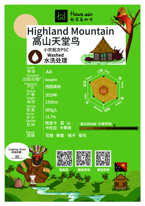高山天堂鸟  Highland Mountain