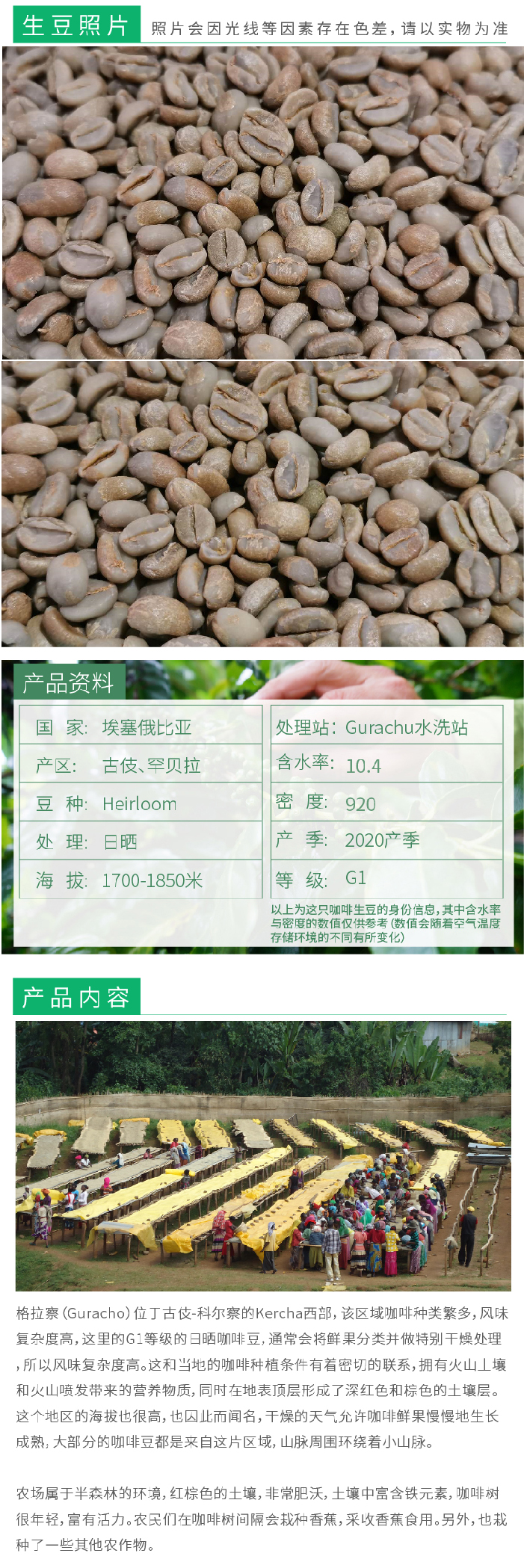 埃塞俄比亚古伎格拉察439—咖啡生豆