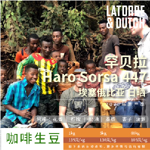 埃塞俄比亚古伎罕贝拉447—咖啡生豆