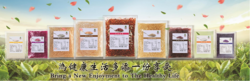 龍珠系列