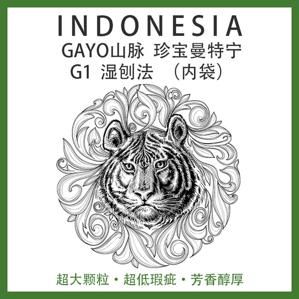印度尼西亚 GAYO山脉 曼特宁 G1  湿刨