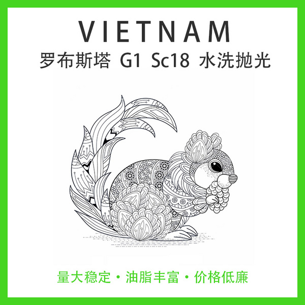 越南 罗布斯塔 G1 18目   水洗抛光
