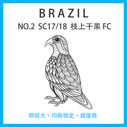 巴西 NO.2 SC17/18 枝上干果 FC （内袋） 日晒