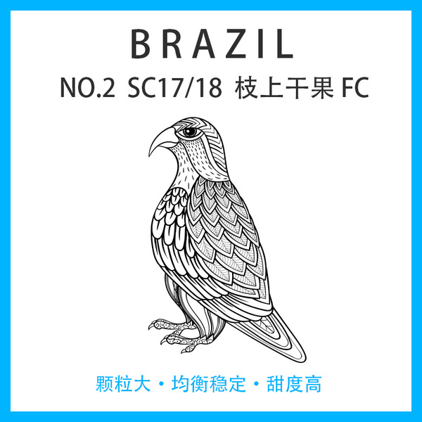 巴西 NO.2 SC17/18 枝上干果 FC （内袋） 日晒