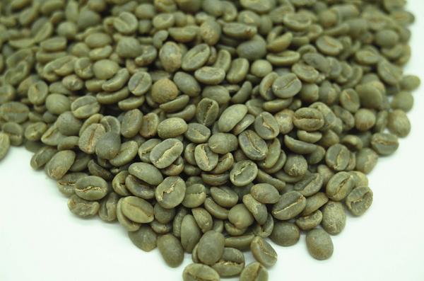 哥伦比亚蕙兰水洗