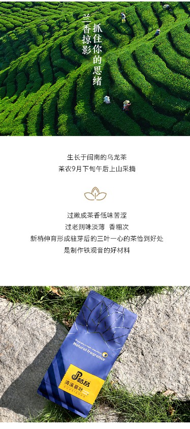 翡翠乌龙茶