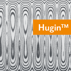 Hugin?