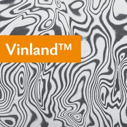 Vinland?
