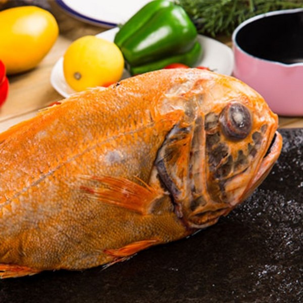 大西洋胸棘鲷(俗称:长寿鱼)