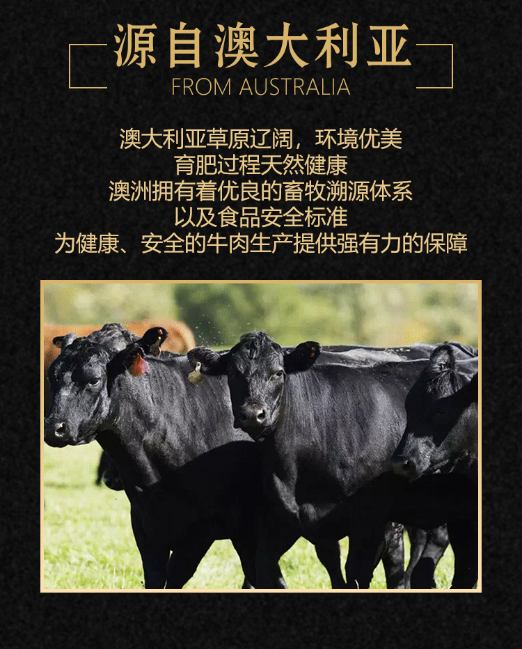 【迪立希】正关进口澳洲和牛M6-7上脑牛排