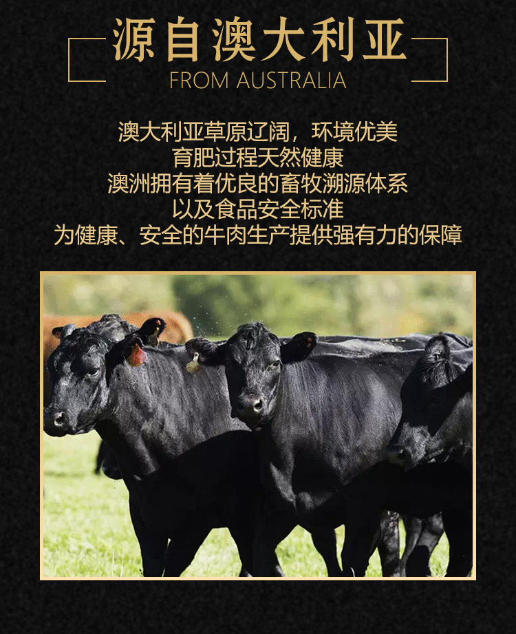 【迪立希】正关进口澳洲和牛M6-7眼肉牛排