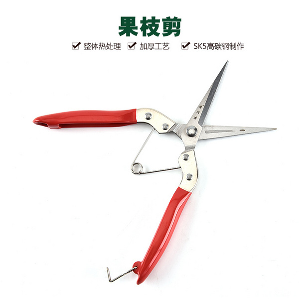 廠家直銷紅色稀果園藝花枝樹枝采摘果剪園林剪刀修枝剪 果枝剪