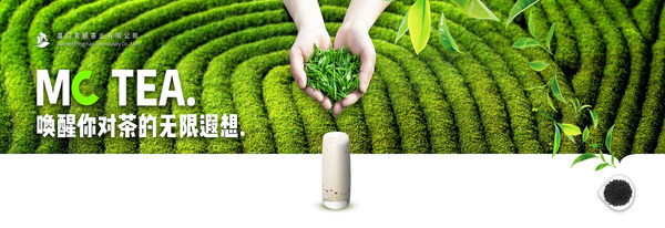 厦门茗朝茶业有限公司