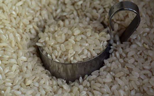 大米蛋白粉的营养价值如何 可以选择吗