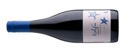 Kalfu Molu Pinot Noir 2017, Casablanca Valley 卡爾福海星黑品諾干紅 2017, 卡薩布蘭卡山谷