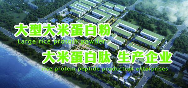 江西恒顶食品有限公司