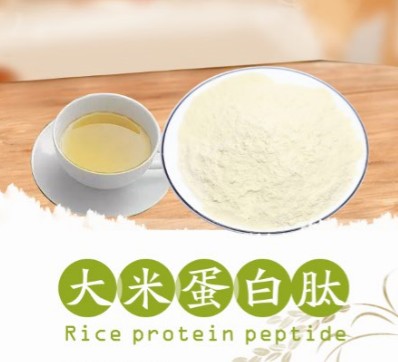大米蛋白肽