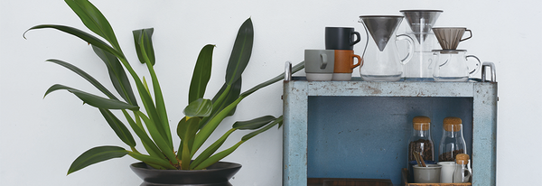 宁波宁珂斯特贸易有限公司