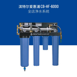 爱惠浦 CB-HF-6000净水系统