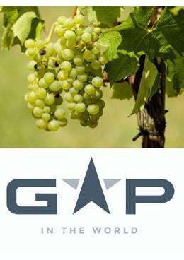 去离子浓缩葡萄汁