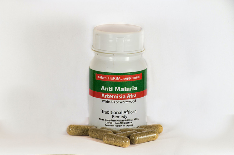 蒿属植物 Artemisia