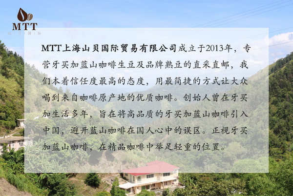 牙买加蓝山咖啡