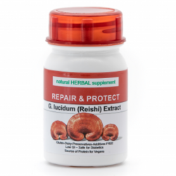 修復(fù)與保護 Repair & Protect