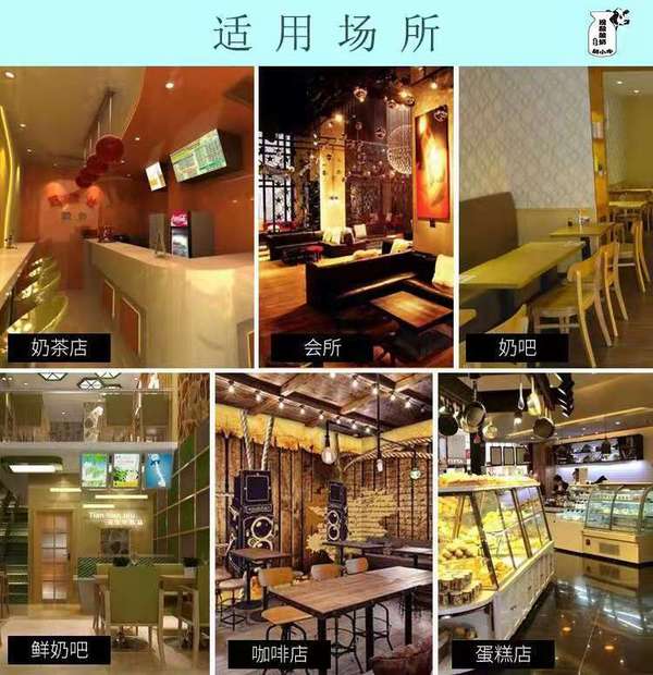 自酿酸奶发酵粉