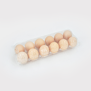 12粒鸡蛋盒