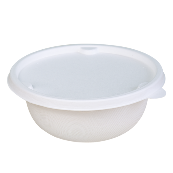 环保甘蔗浆纸碗