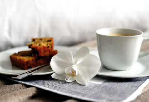 曼巴桌面式咖茶机品质如何 值得购买吗
