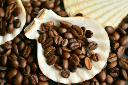 尼加拉瓜咖啡豆的生产环境怎么样