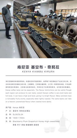 肯尼亞 基安布·奇努拉