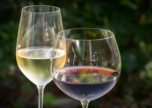小常识分享 葡萄酒和干红葡萄酒的区别