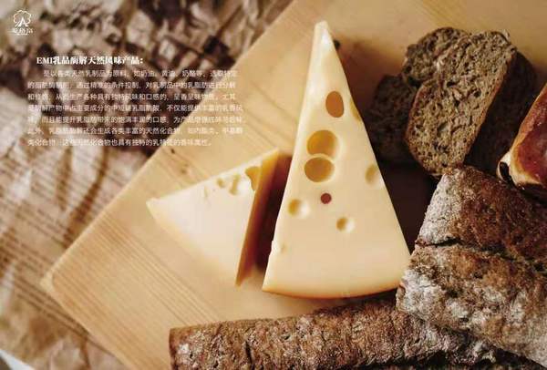 EMI乳品酶解奶油奶酪粉