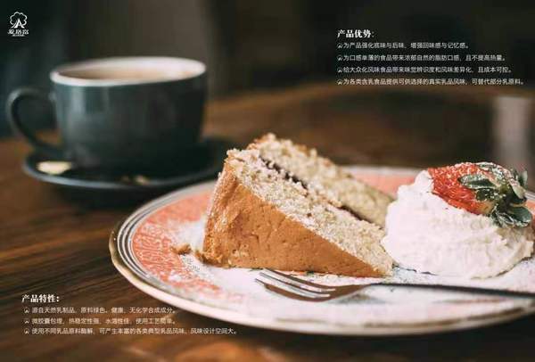 EMI乳品酶解奶油奶酪粉