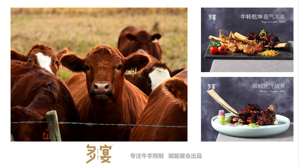 上海多宴食品有限公司