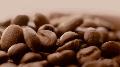 这座丰饶之境，隐藏了哥伦比亚咖啡的秘密