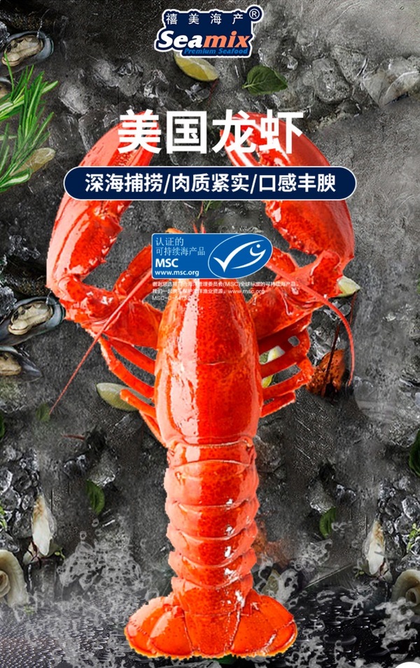 波龍