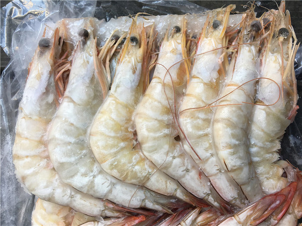 大明蝦